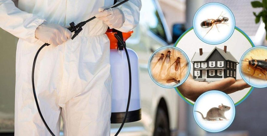 Tuzla Böcek İlaçlama