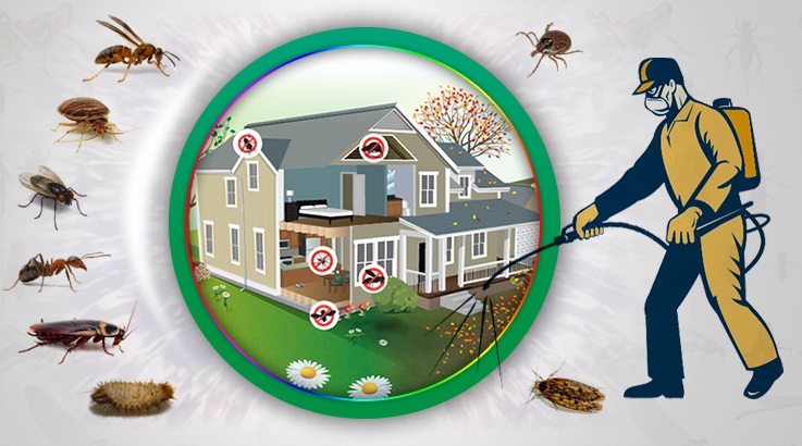 Tuzla Böcek İlaçlama