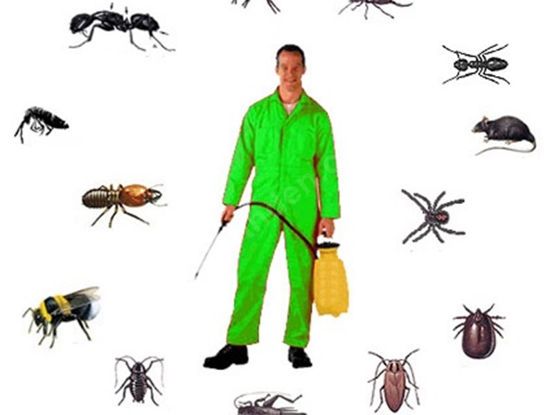 Tuzla Böcek İlaçlama